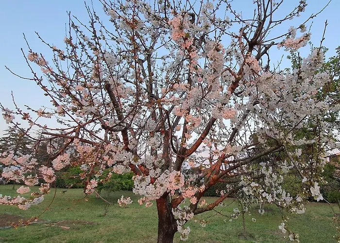 Riscopri I Tuoi Sensi Natura Relax Casa vacanze