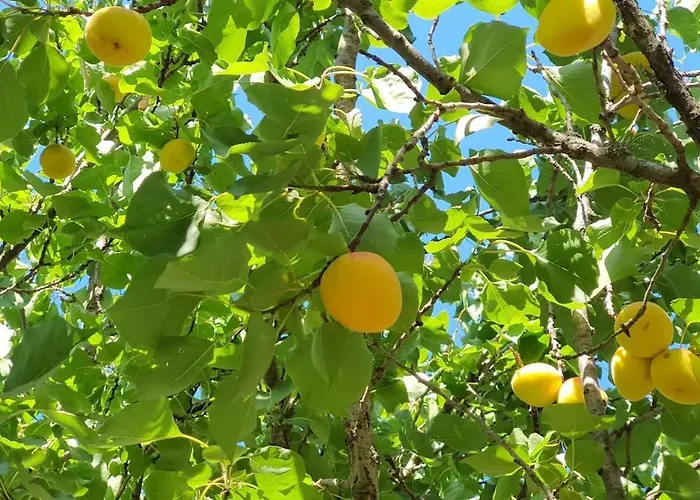 Riscopri I Tuoi Sensi Natura Relax