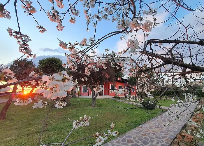 Riscopri I Tuoi Sensi Natura Relax * Roma