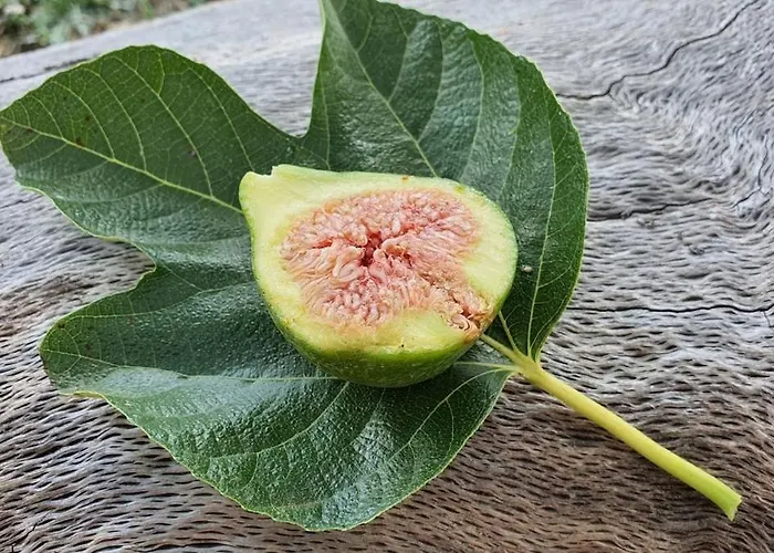 Casa vacanze Riscopri I Tuoi Sensi Natura Relax Roma