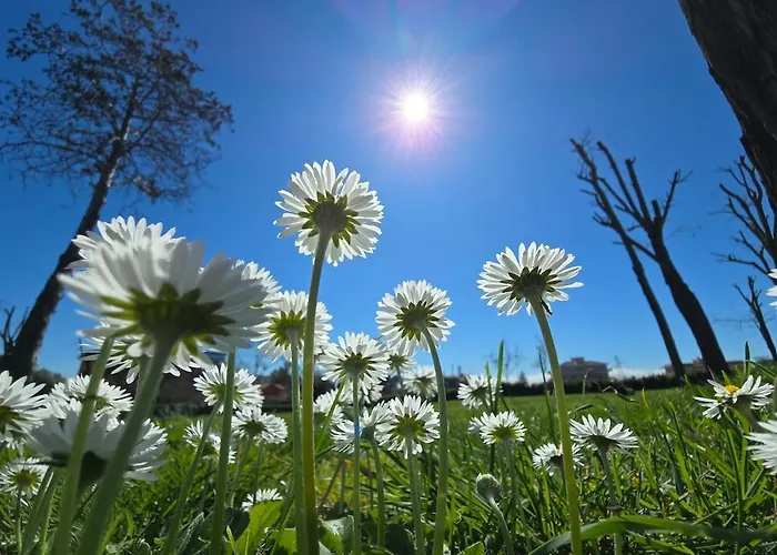 Riscopri I Tuoi Sensi Natura Relax *